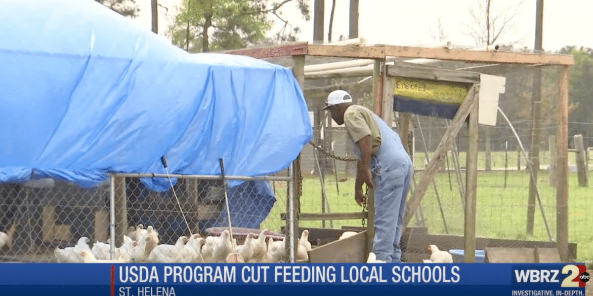Local farmers say recent USDA cuts affected programs beneficial to getting produce to local schools