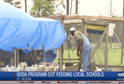 Local farmers say recent USDA cuts affected programs beneficial to getting produce to local schools