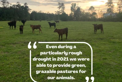 Profiles in Conservation: Muse 3 Farm