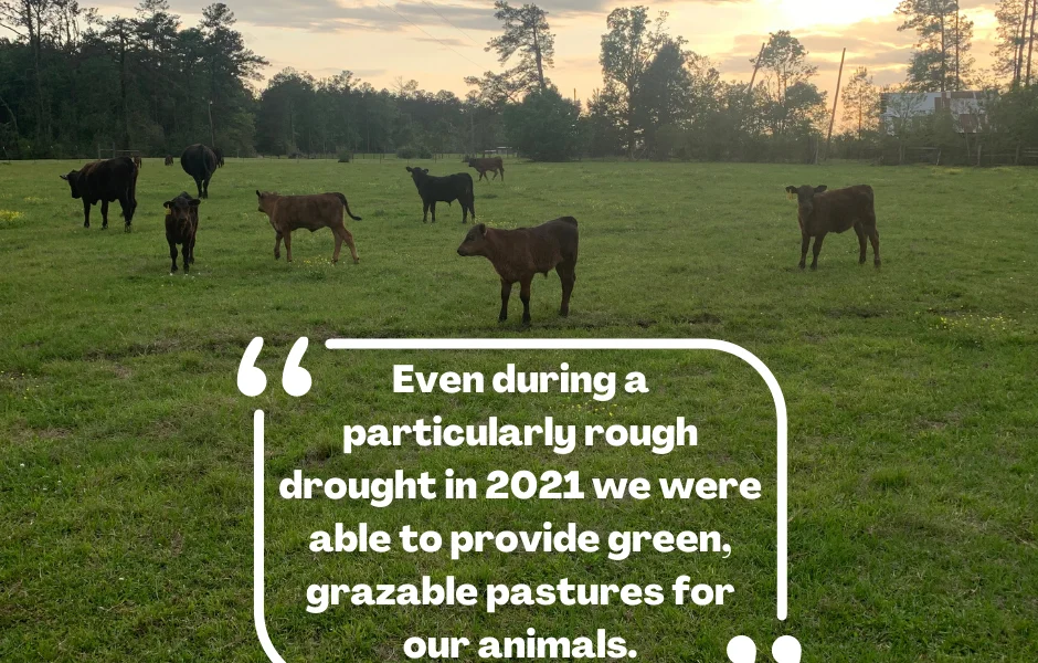 Profiles in Conservation: Muse 3 Farm